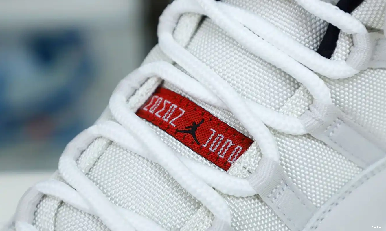 11 PLATINUM JORDAN TINT RETRO XI AIR 0524